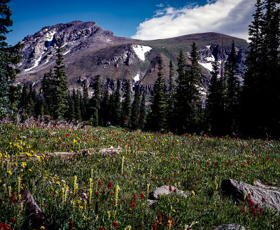 Arapahoe Peak South with 8x10 view camera 