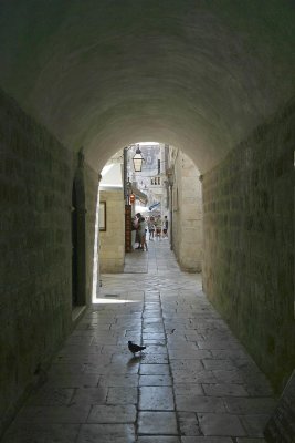Dubrovnik Old Town