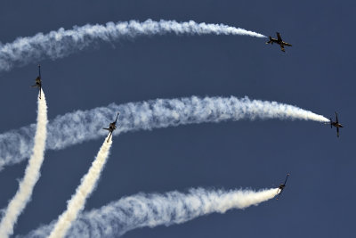 Breitling Jet Team, L-39 Albatros