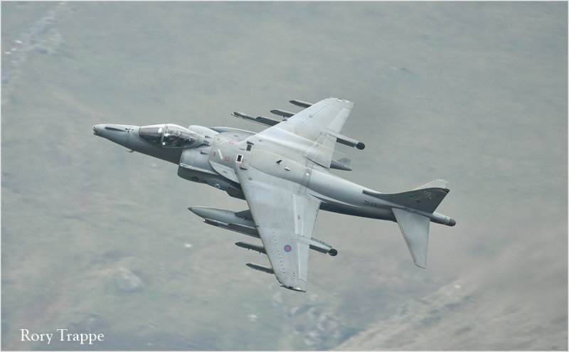 Harrier at Corris corner