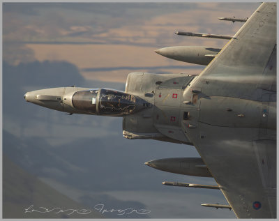 RAF Harrier