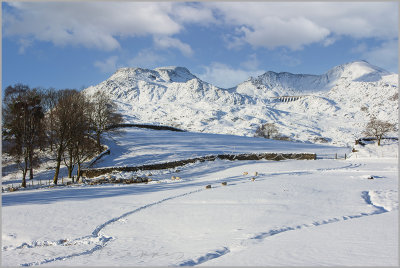 Moelwyn range in snow
