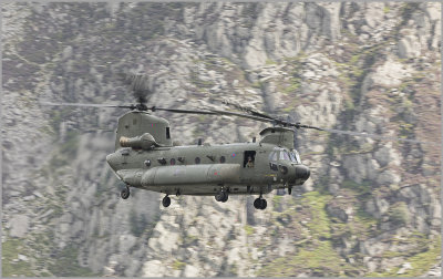 chinook4.jpg