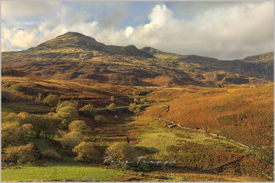 Moelwyn Bach