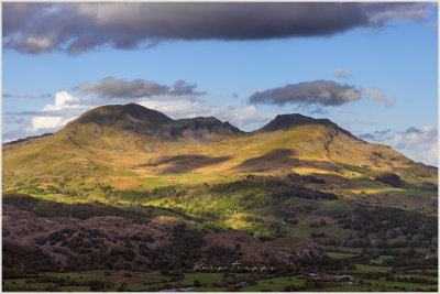 Moelwynion