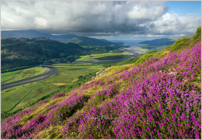 Mawddach Estuary