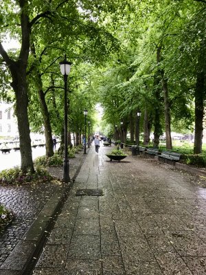 IMG_2791.jpg