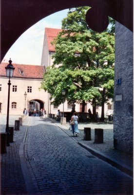 muc019.jpg