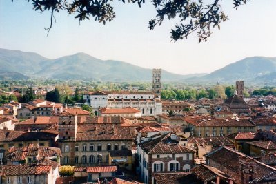 lucca001.jpg
