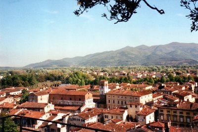 lucca002.jpg