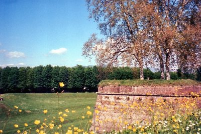 Lucca021.jpg