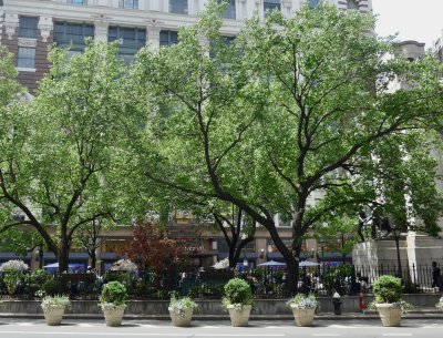 Herald Square