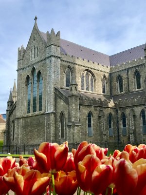 St. Patrick's Cathedral