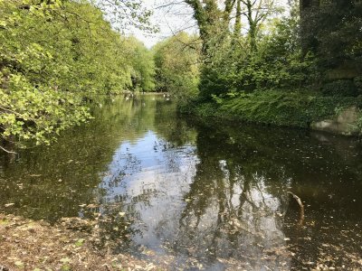 St. Stephen's Green