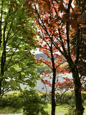 Kylemore Abbey grounds