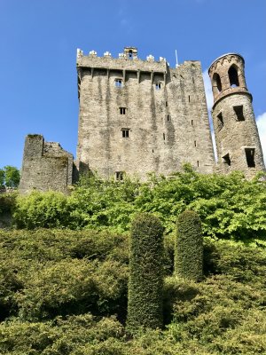 IMG_4048 4.jpeg