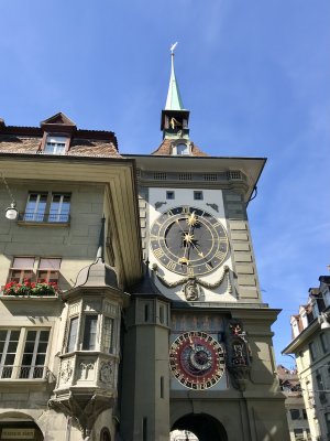 IMG_4655.jpeg