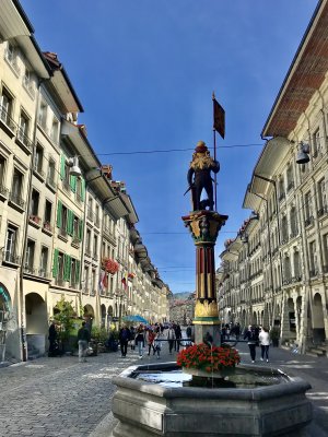 IMG_4656.jpeg