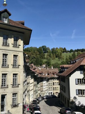 IMG_4675.jpeg