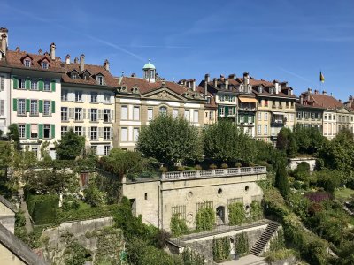 IMG_4670.jpeg