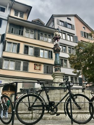 IMG_4832.jpeg