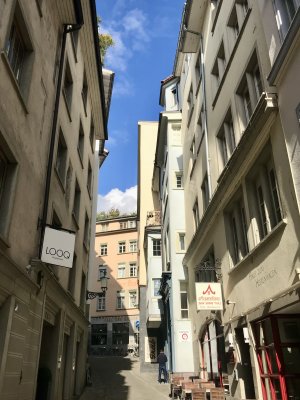 IMG_4856.jpeg