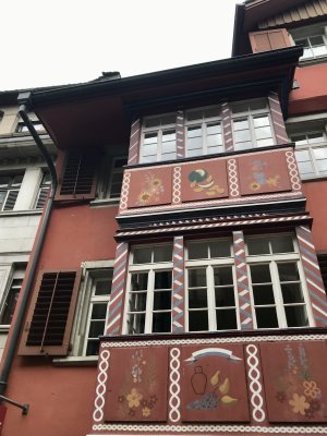 IMG_4556.jpeg