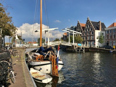 IMG_4369.jpeg