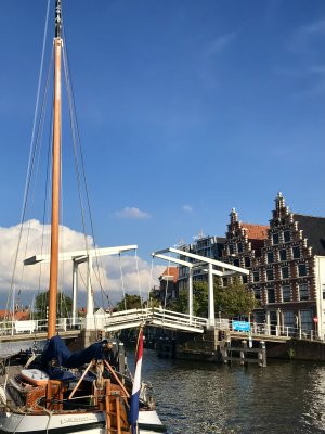 IMG_4370.jpeg