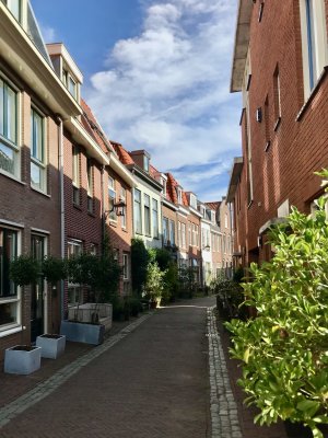 IMG_4483.jpeg