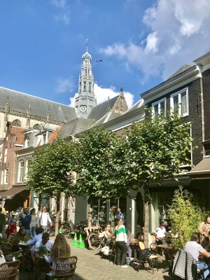 IMG_4312.jpeg