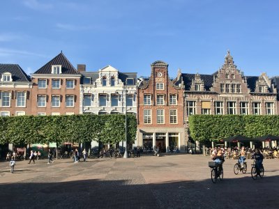 IMG_4363.jpeg