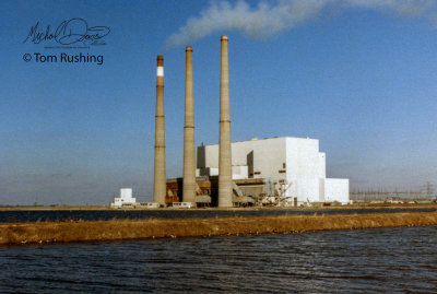 Dynegy Midwest - Baldwin Power Plant