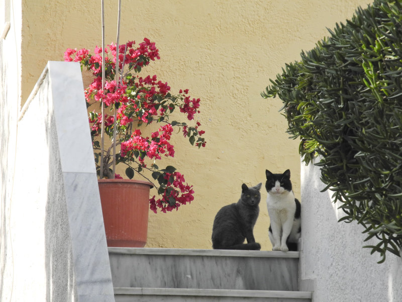Brick and her daughter Lego, waiting for us