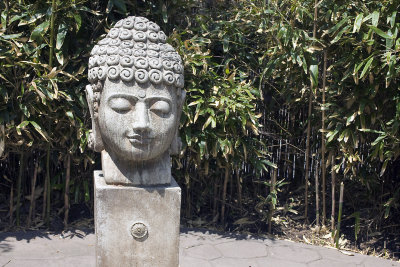 Buddha in the Asia section