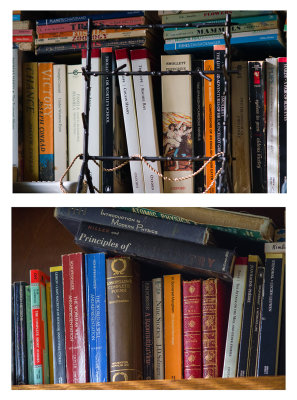 scenes from a lockdown room - desultory bookshelves