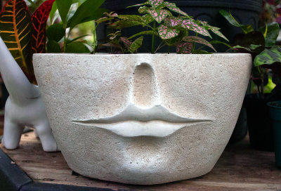 bizarre flower pot