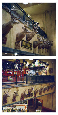Bass Pro Shops buck display