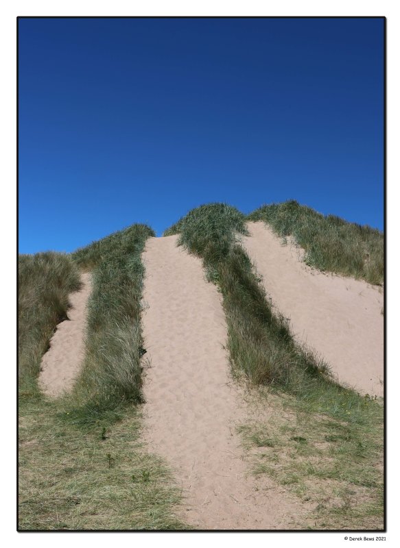 Sand Dune