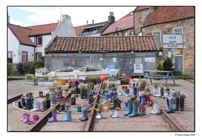 Wellie Boot Garden