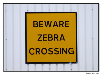 Beware of Zebras