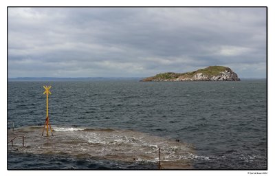 Craigleith Island