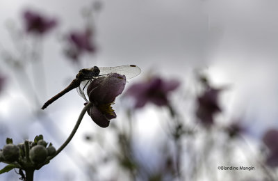 Featured Gallery