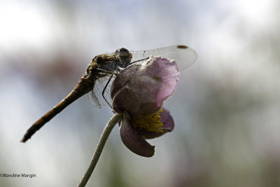 Featured Gallery