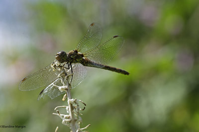 Featured Gallery
