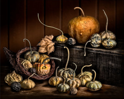 Gourds