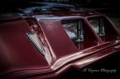 Pontiac-Firebird.web.jpg