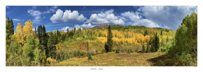 Kebler Pass - Colorado