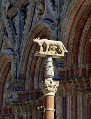 Capitoline Wolf at Siena Duomo Legend is Siena was founded by Senius & Aschius, twin sons of Remus, who fled Rome with it