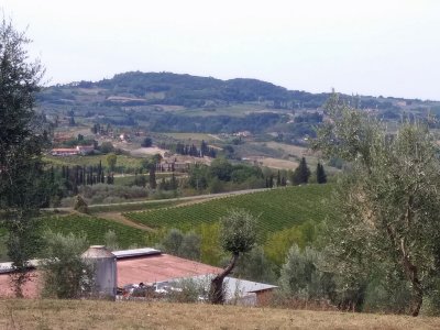 The Fattoria Poggio Alloro- Farm and Vineyard in the Chianti wine region g  Beautiful Farm and Winery where we had lunch